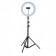 Кольцевая светодиодная LED лампа RING на штативе для блогера / селфи / фотографа / визажиста D 26 см(6901)
