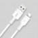 СЗУ XO 2в1 Lightning 1USB + PD 3.0/3.4A (L43) белый